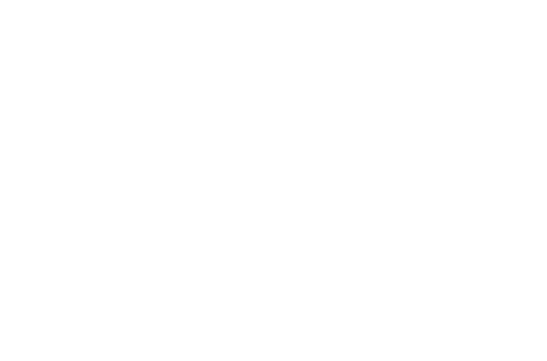 Elite Specialty Services LLC